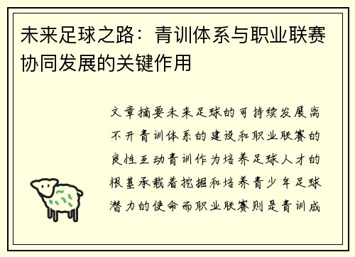 未来足球之路：青训体系与职业联赛协同发展的关键作用